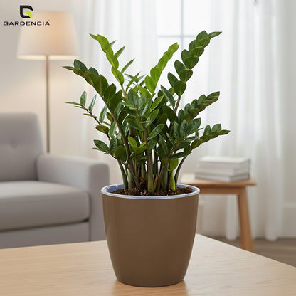 Vistara Self Watering Pot