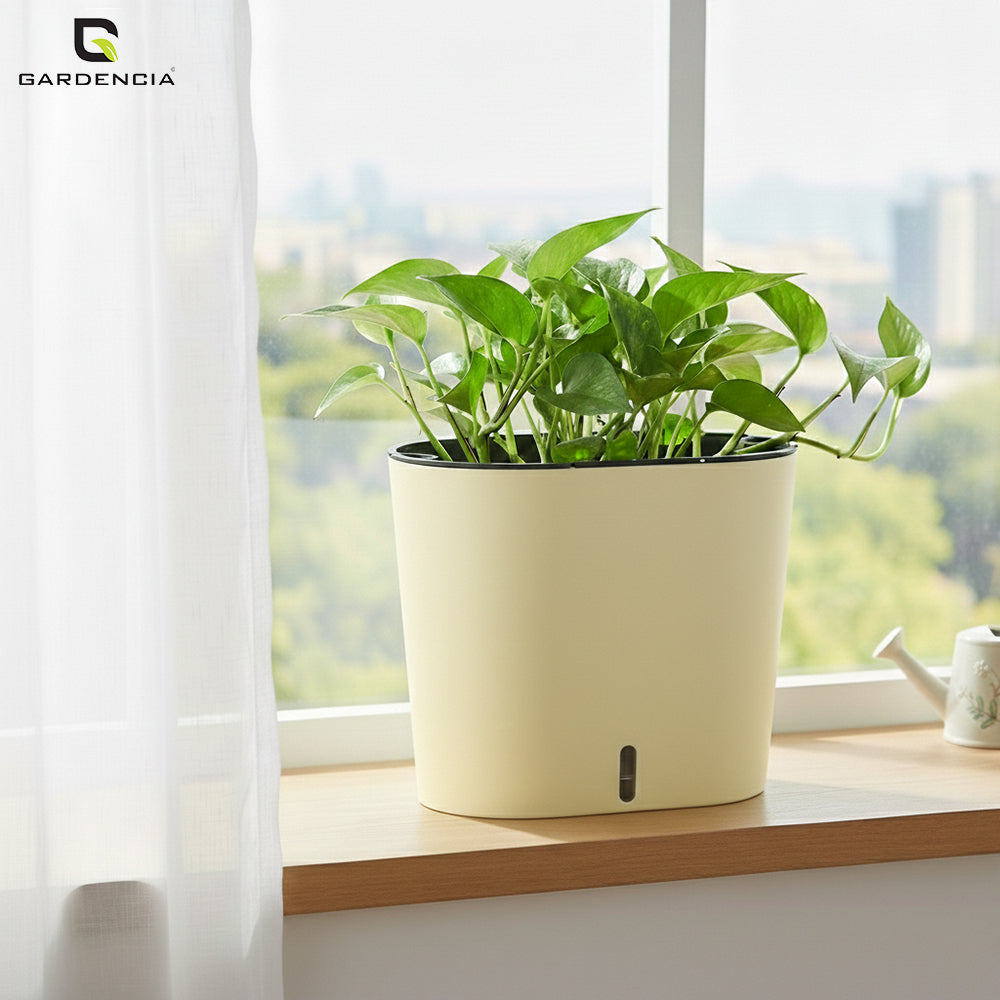 GARDENCIA CAVENDER 7" Self-Watering Pot – Decorative Indoor Planter with Built-in Water Reservoir for Home, Garden & Office Use