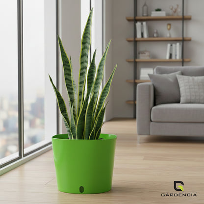 Gardencia Cube 6/12" Self Watering Square Pot