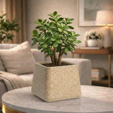 GARDENCIA Roto Tiny 05 Self Watering Square Planter Pot 6"