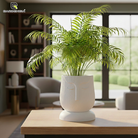 Face Kraft 6" Self Watering Pot