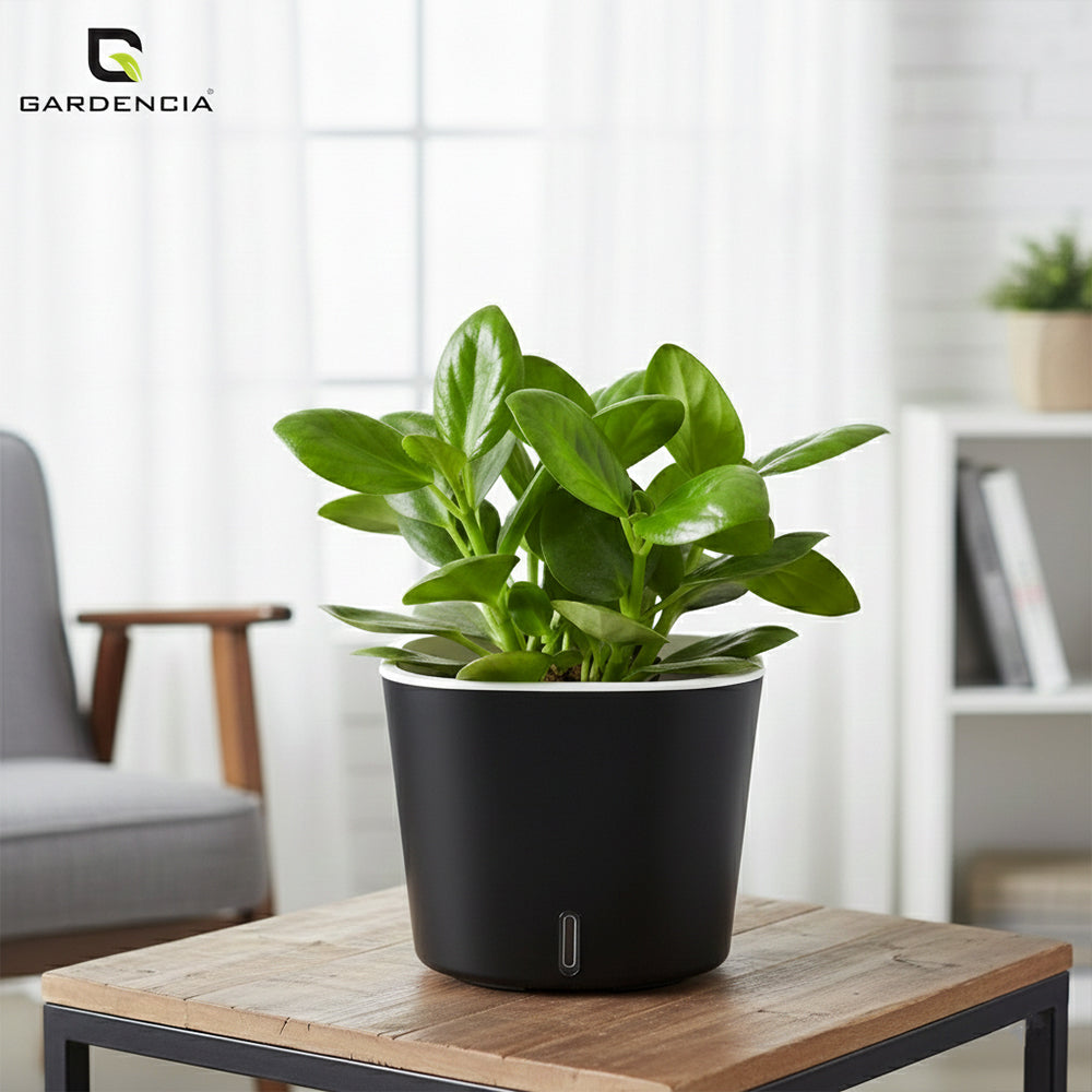 Gardencia Cube 6/12" Self Watering Square Pot