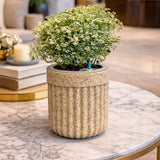 GARDENCIA Roto Tiny 04 Round Self Watering Planter Pot 6"