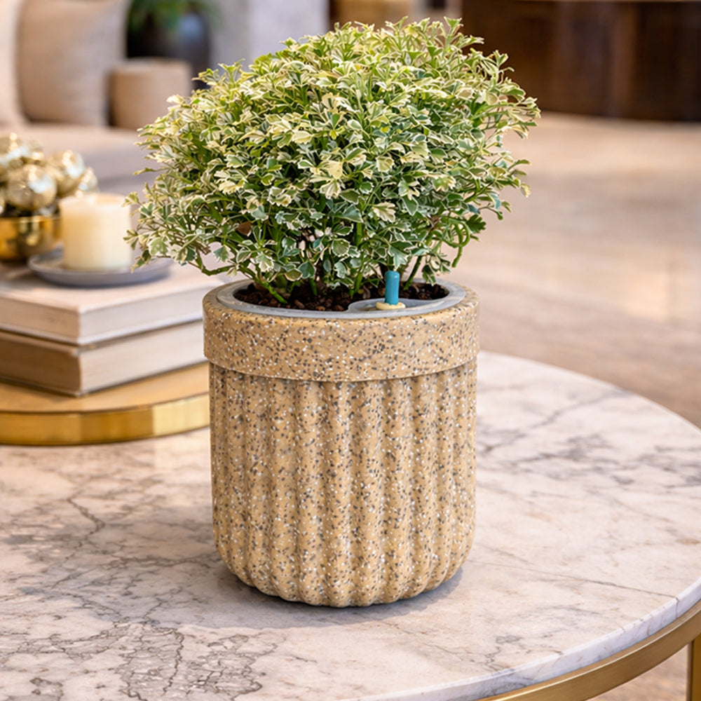 GARDENCIA Roto Tiny 04 Round Self Watering Planter Pot 6"