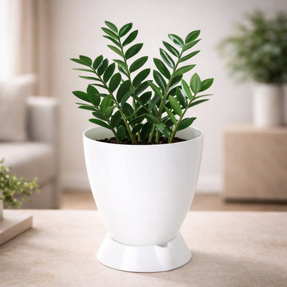 Convex Pot with Smart Tray