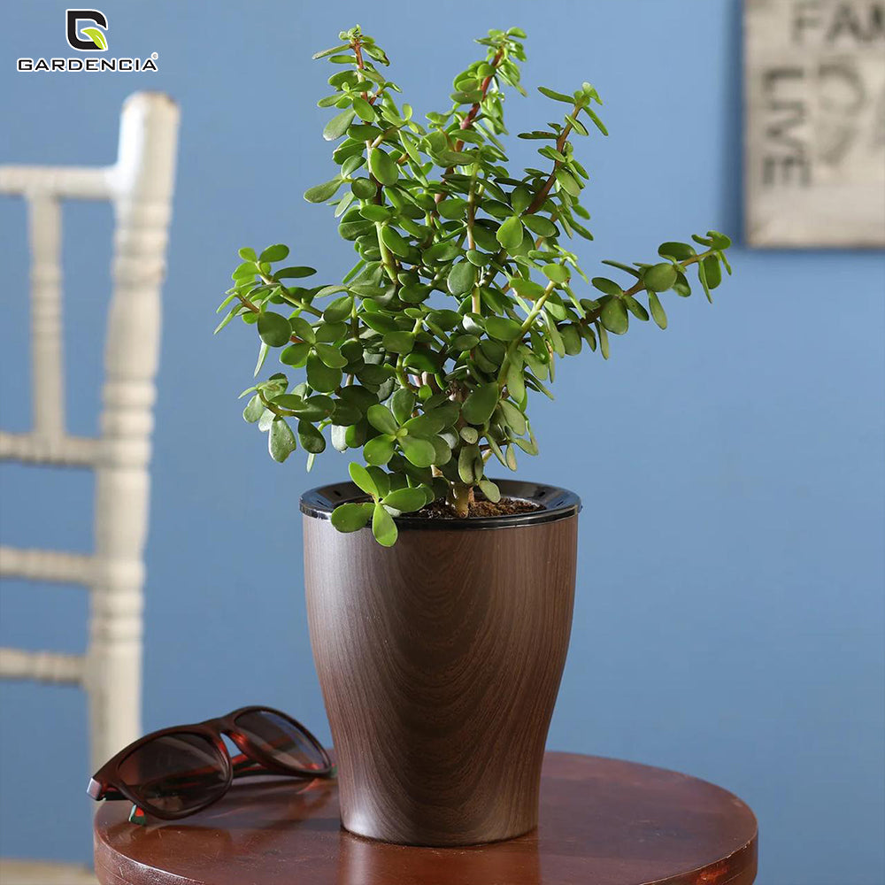 Cone Printed Self Watering Pot