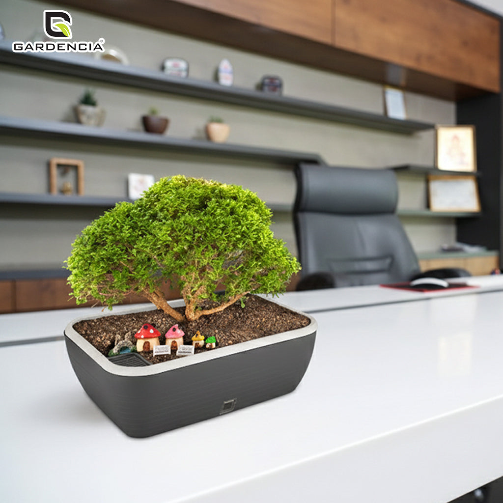 GARDENCIA Contessa Self Watering Planter | 15 x 11 x 4.5 Inch | Polypropylene with UV Protection | Matt Finish Indoor Outdoor Rectangular Pot for Plants