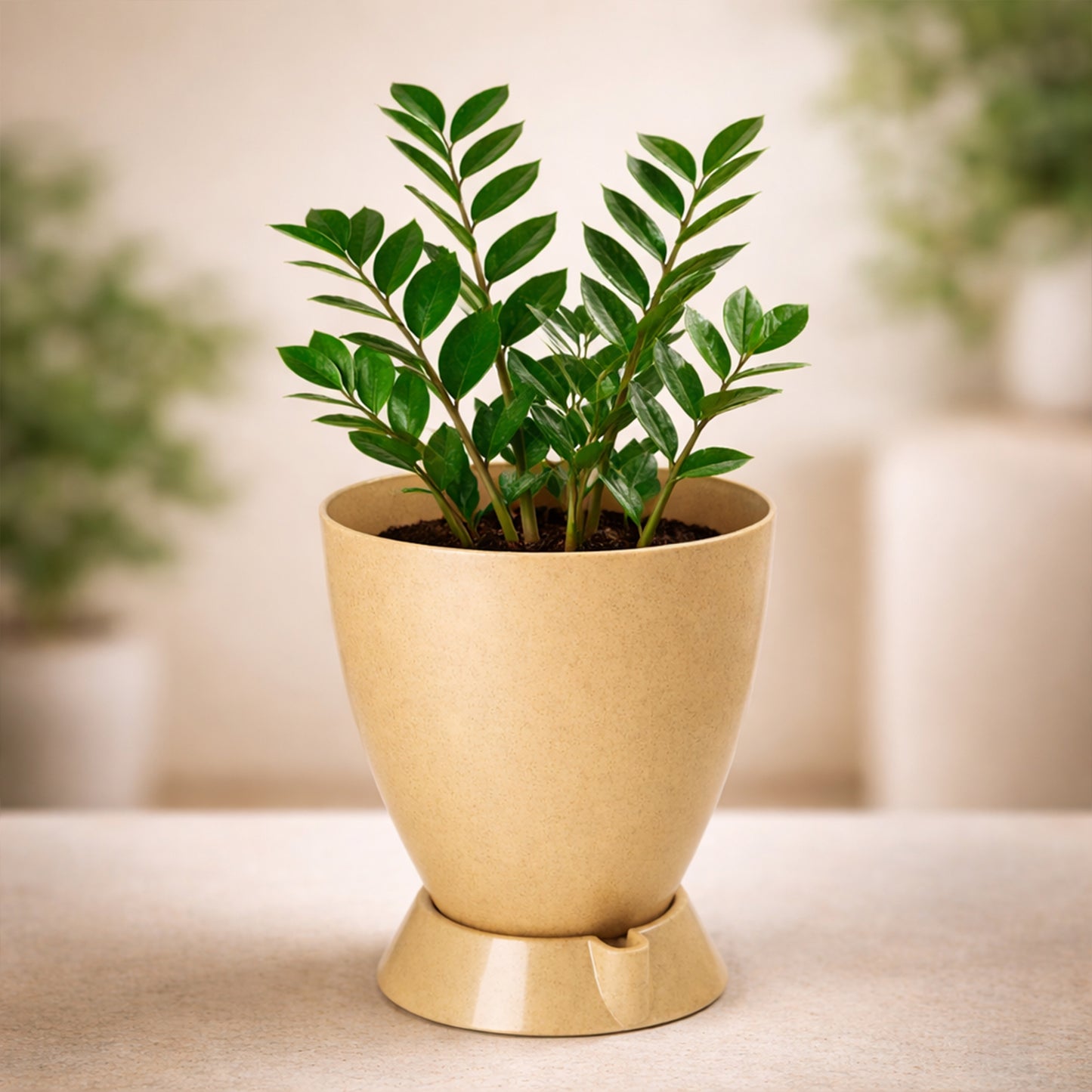 Convex Pot with Smart Tray