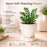 Convex Pot with Smart Tray