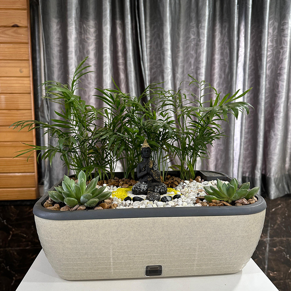 GARDENCIA Contessa Self Watering Planter | 15 x 11 x 4.5 Inch | Polypropylene with UV Protection | Matt Finish Indoor Outdoor Rectangular Pot for Plants