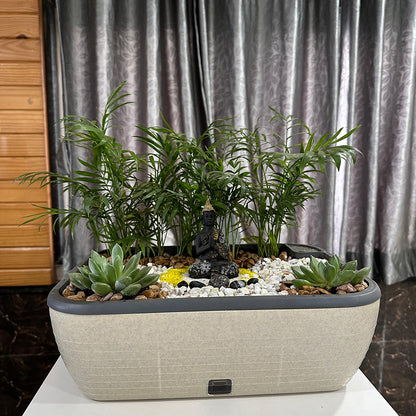 GARDENCIA Contessa Self Watering Planter | 15 x 11 x 4.5 Inch | Polypropylene with UV Protection | Matt Finish Indoor Outdoor Rectangular Pot for Plants