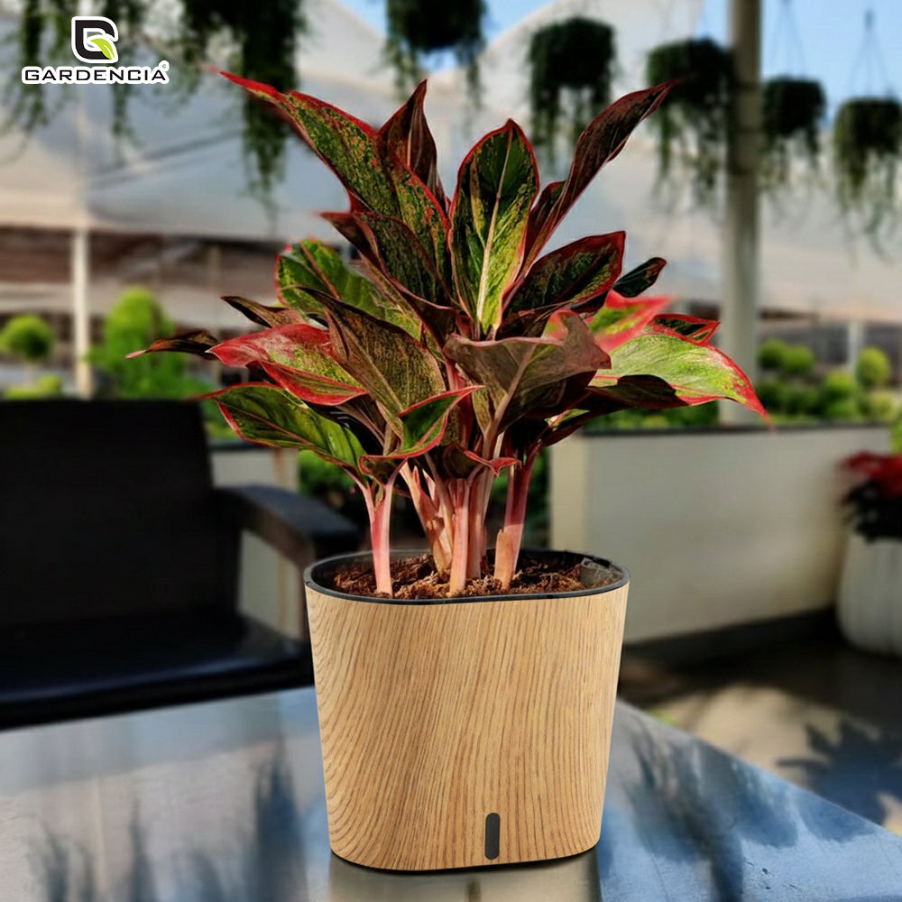 Cavender Printed Self Watering Pot