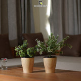 Cone Printed Self Watering Pot