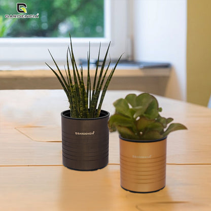 GARDENCIA Metal Flower Pot 4"