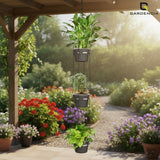 GARDENCIA Cube Self Watering Pot 6 Inch with Hanging Chain Modern Hanging Planter for Indoor & Outdoor Plants, Durable Plastic Pot Ideal for Balcony, Home & Office Decor