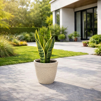 GARDENCIA ROTO Candy 9/11/13" Morden Round Planter Pot