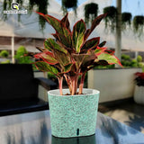 GARDENCIA Cavender Painted Decorative Planter 7"