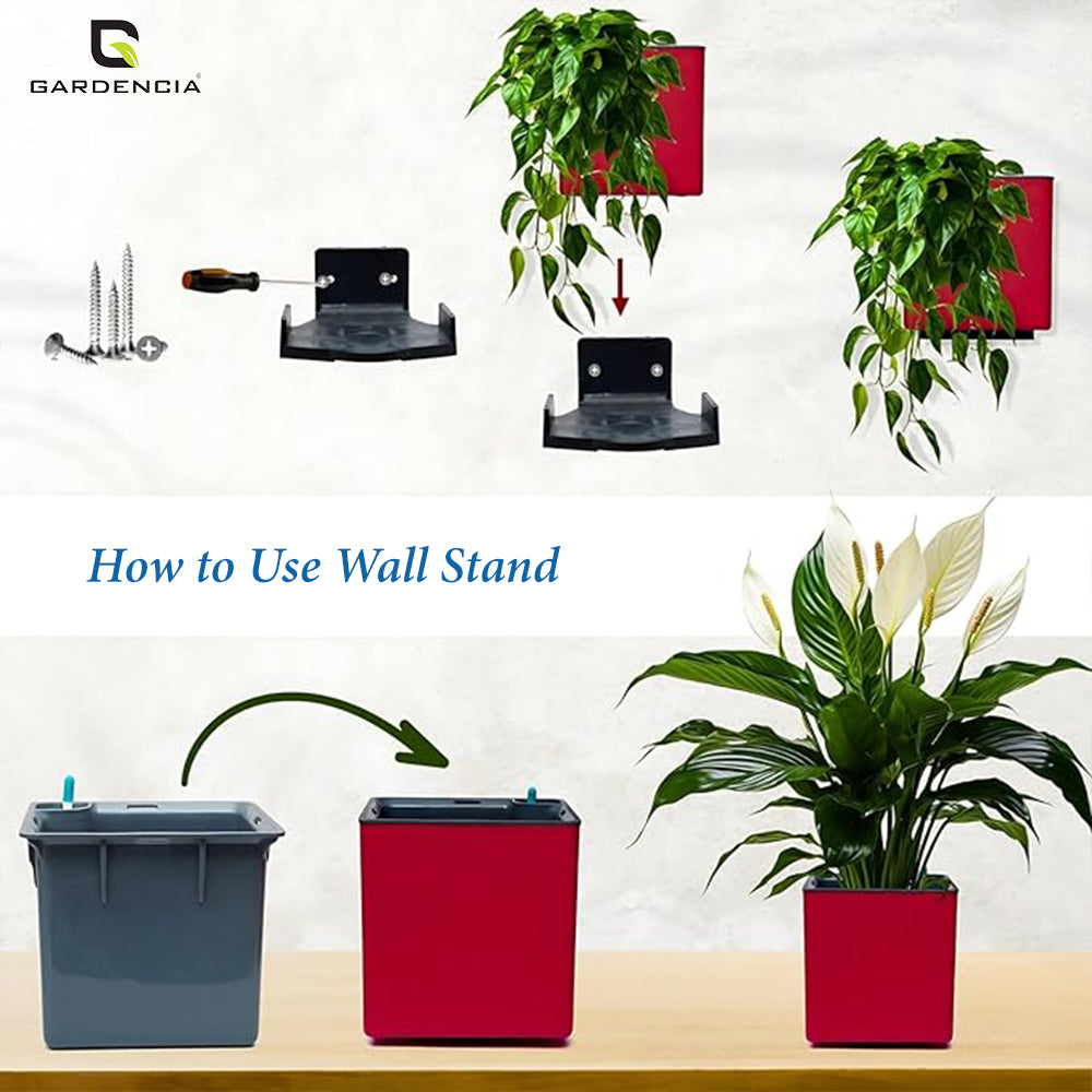 GARDENCIA Columbus Self-Watering Pot with Wall Stand 6"