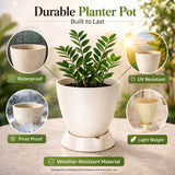 Convex Pot with Smart Tray