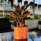 GARDENCIA CAVENDER 7" Self-Watering Pot – Decorative Indoor Planter with Built-in Water Reservoir for Home, Garden & Office Use
