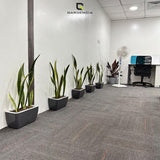 GARDENCIA Recta Self Watering Rectangle 100% Virgin Plastic Pots for Plants | Modern Design | Indoor and Outdoor Flower Pot for Home/Office/Table/Garden/Balcony Decoration | 14 inch