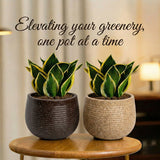GARDENCIA Roto Tiny 01 Self Watering Round Planter Pot 7"