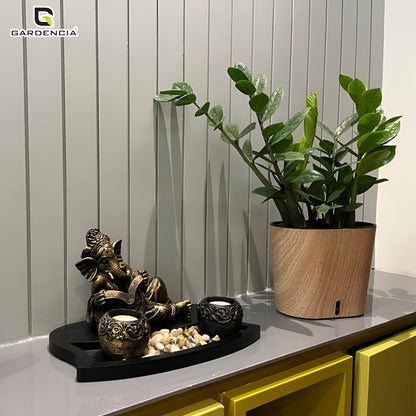 Cavender Printed Self Watering Pot