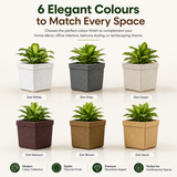 GARDENCIA ROTO ZEN 01  Square Planter Pot – with Dot Finish Colour