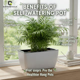 GARDENCIA Recta Self Watering Rectangle 100% Virgin Plastic Pots for Plants | Modern Design | Indoor and Outdoor Flower Pot for Home/Office/Table/Garden/Balcony Decoration | 14 inch