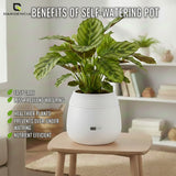 GARDENCIA Balloon Self Watering Planter