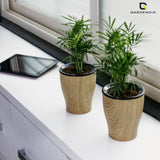 Cone Printed Self Watering Pot