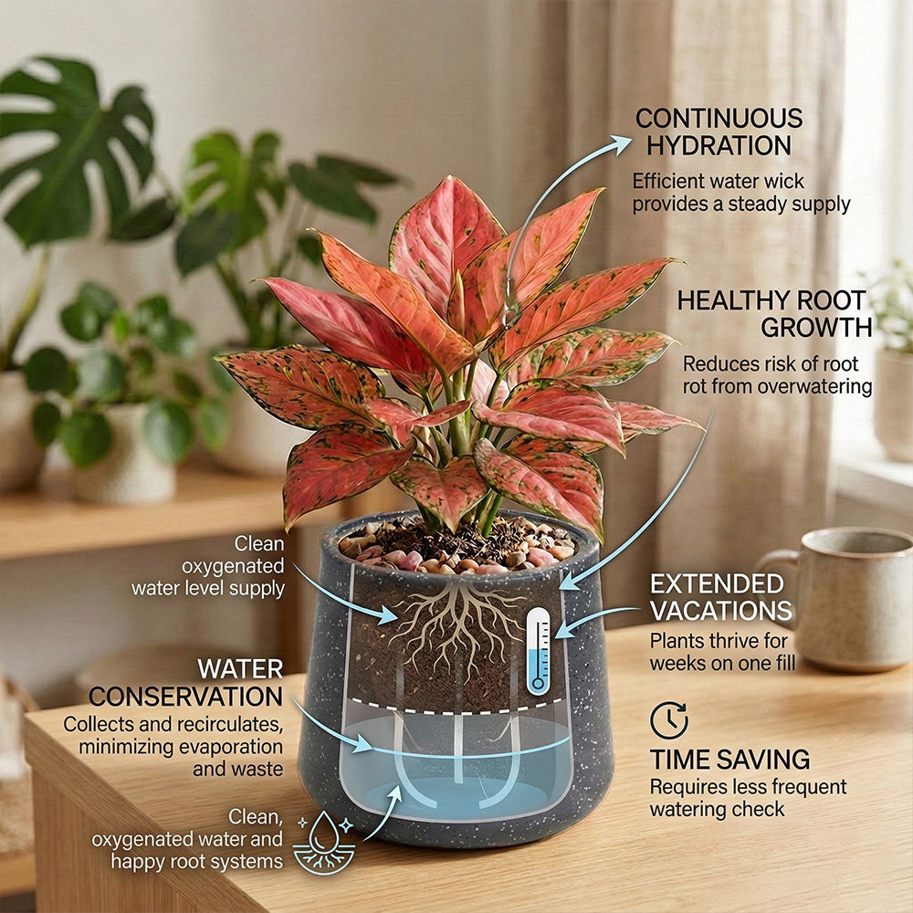 GARDENCIA Roto Tiny 07 Self Watering Round Pot 6"