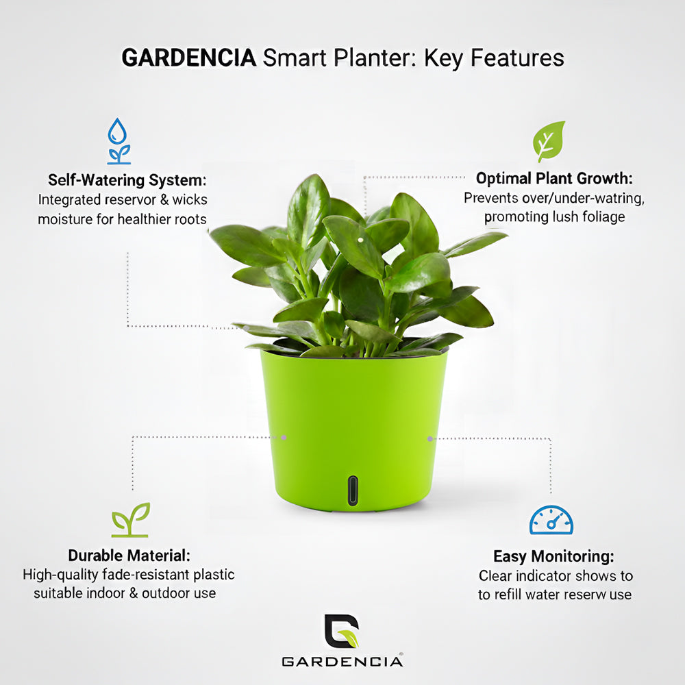 Gardencia Cube 6/12" Self Watering Square Pot