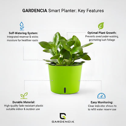 Gardencia Cube 6/12" Self Watering Square Pot