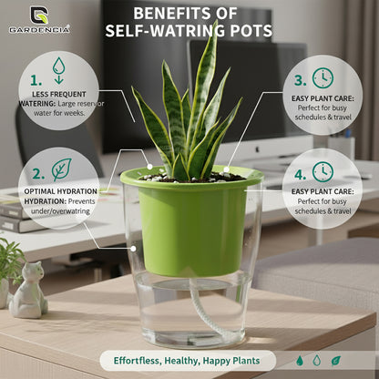 GARDENCIA Clear Self Watering Pot 6 Inch – Transparent Plastic Planter for Indoor Plants, Succulents, Herbs & Flowers – Durable Pot with Water Reservoir & Drainage Hole