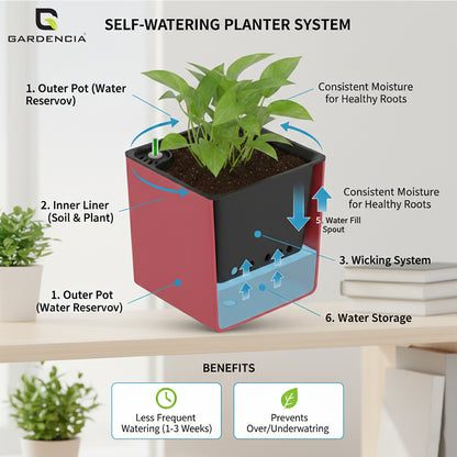 Gardencia Columbus Self Watering Square Pot with Water Level Indicator Modern Planters with Automatic Watering System, Best Flower Pots for Home Decore, Living Room, Table Top Available In Multi Colours