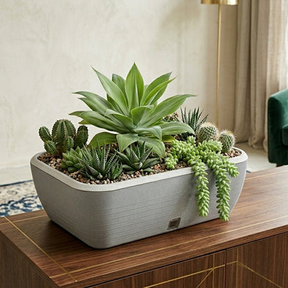 GARDENCIA Contessa Self Watering Planter | 15 x 11 x 4.5 Inch | Polypropylene with UV Protection | Matt Finish Indoor Outdoor Rectangular Pot for Plants