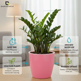 Vistara Self Watering Pot