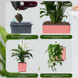 GARDENCIA Columbus Self-Watering Pot with Wall Stand 6"