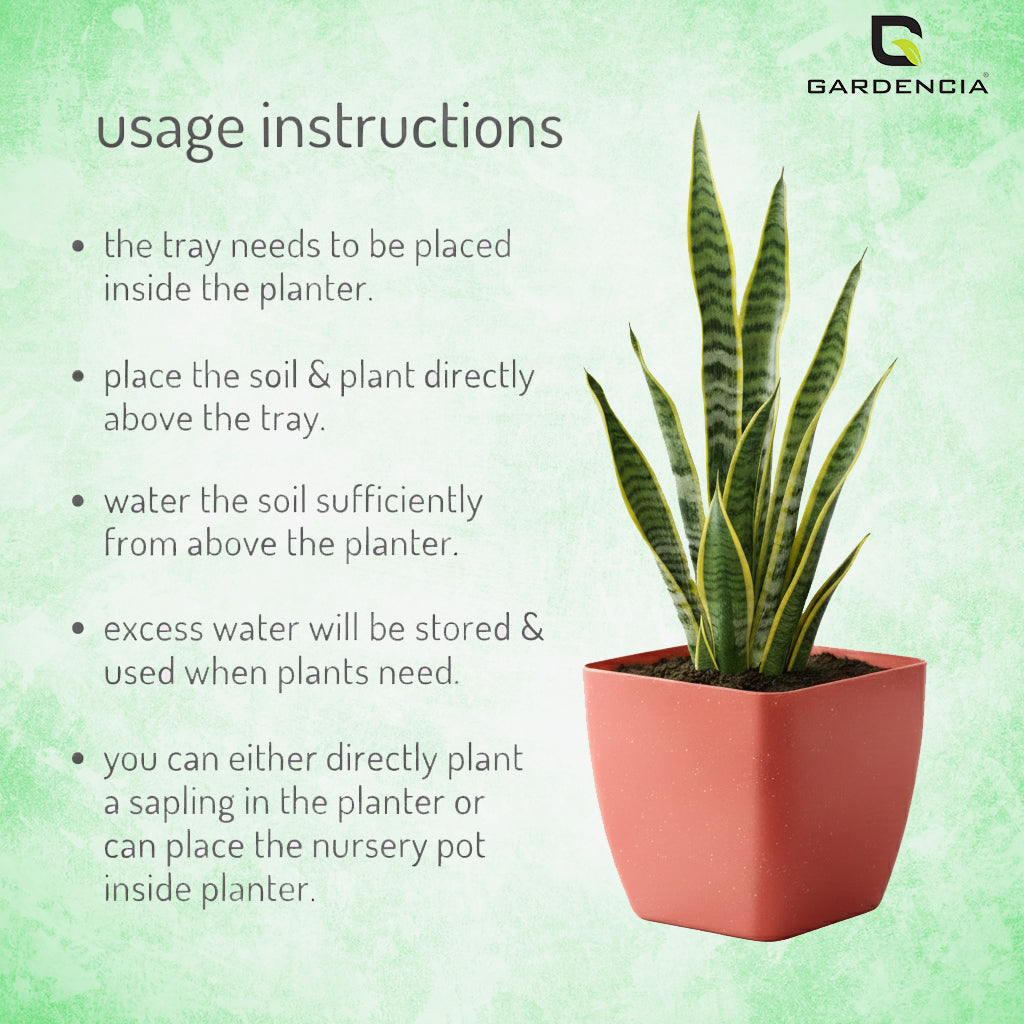 GARDENCIA Self Watering Flower Pot Lizza with Inner Tray, Plastic Planter, Lightweight, 15x15x18 cm, Pack of 7