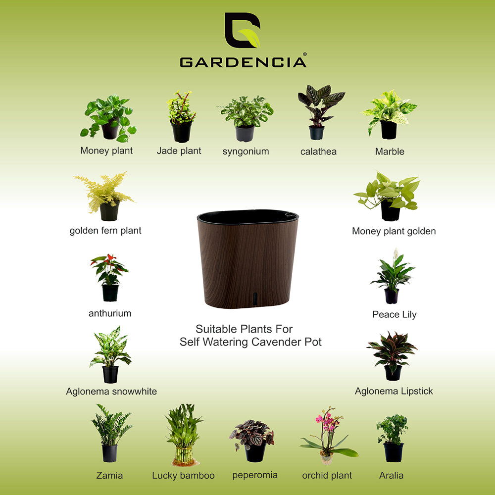 Cavender Printed Self Watering Pot