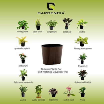 Cavender Printed Self Watering Pot