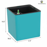 Gardencia Columbus Self Watering Square Pot with Water Level Indicator Modern Planters with Automatic Watering System, Best Flower Pots for Home Decore, Living Room, Table Top Available In Multi Colours