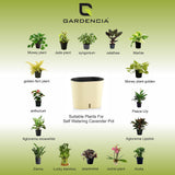 GARDENCIA CAVENDER 7" Self-Watering Pot – Decorative Indoor Planter with Built-in Water Reservoir for Home, Garden & Office Use