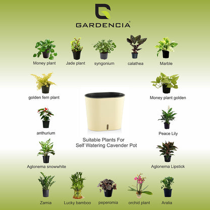 GARDENCIA CAVENDER 7" Self-Watering Pot – Decorative Indoor Planter with Built-in Water Reservoir for Home, Garden & Office Use
