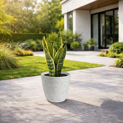 GARDENCIA ROTO Candy 9/11/13" Morden Round Planter Pot