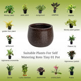 GARDENCIA Roto Tiny 01 Self Watering Round Planter Pot 7"