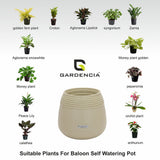 GARDENCIA Balloon Self Watering Planter