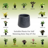 GARDENCIA Roto Tiny 07 Self Watering Round Pot 6"