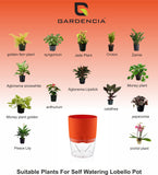 Gardencia Lobello 4/6/8 Inch Self Watering Plastic Flower Pot Cotton Rope Watering Small Plant Pot - Indoor Planters for Home Decor, Living Room, Kitchen, Bedroom, Office Desk, Gifting - Plants Not Included